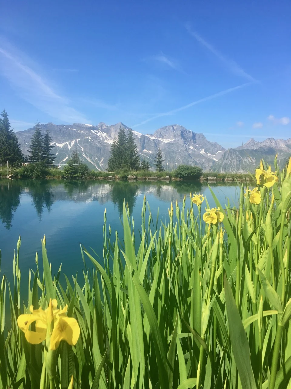 Härzlisee, Schweiz