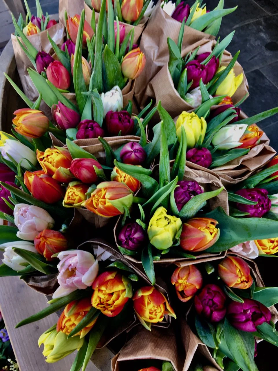 Tulpenstrauss.jpg