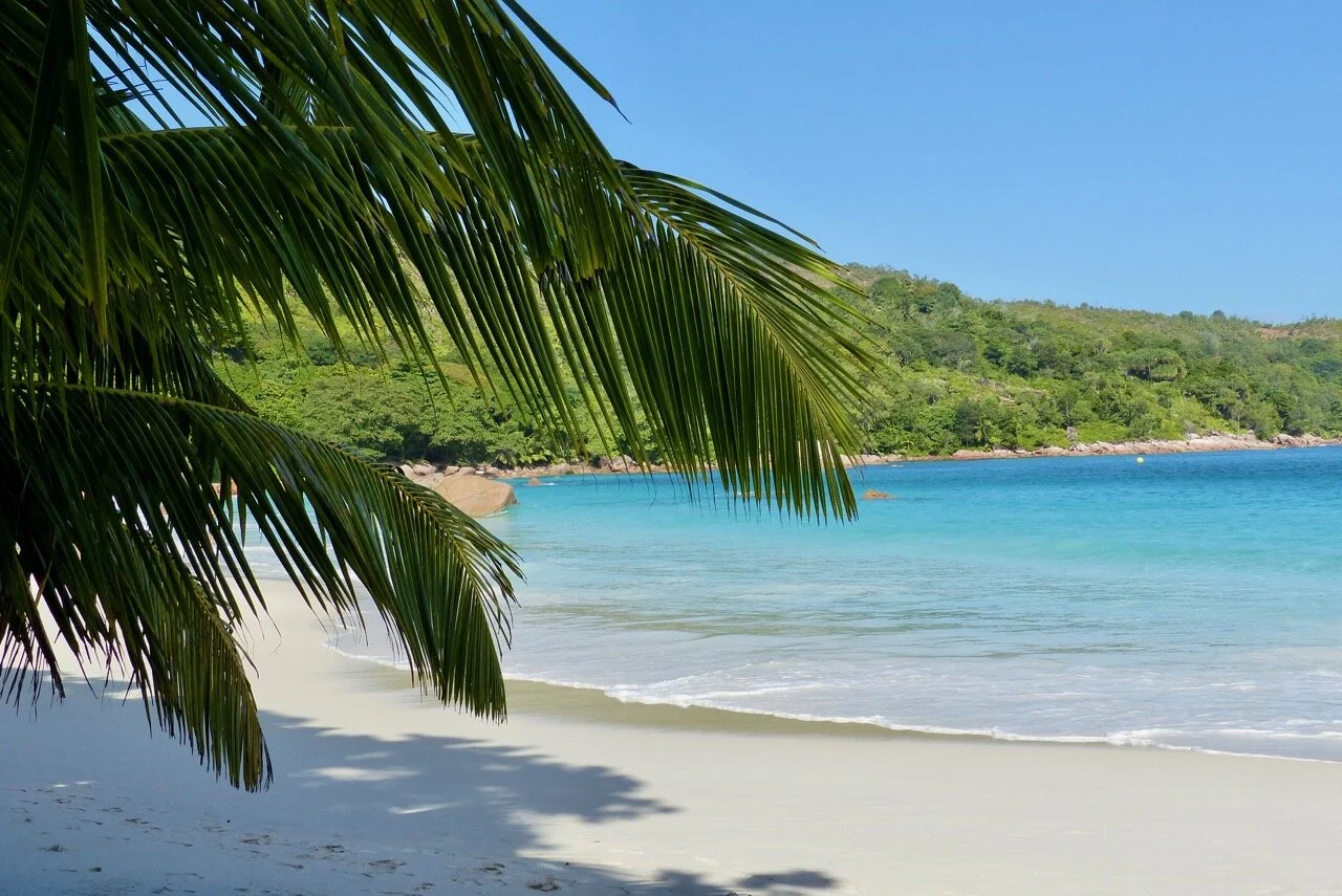 Strand mit türkisblauem Meer und Palme auf den Seychellen