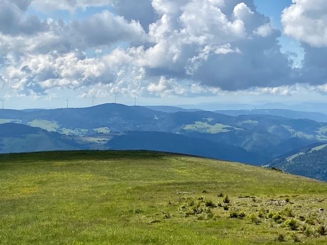 Genießerpfad Belchensteig