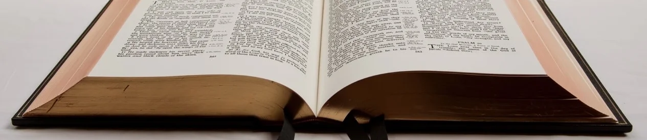 holey bible.jpg