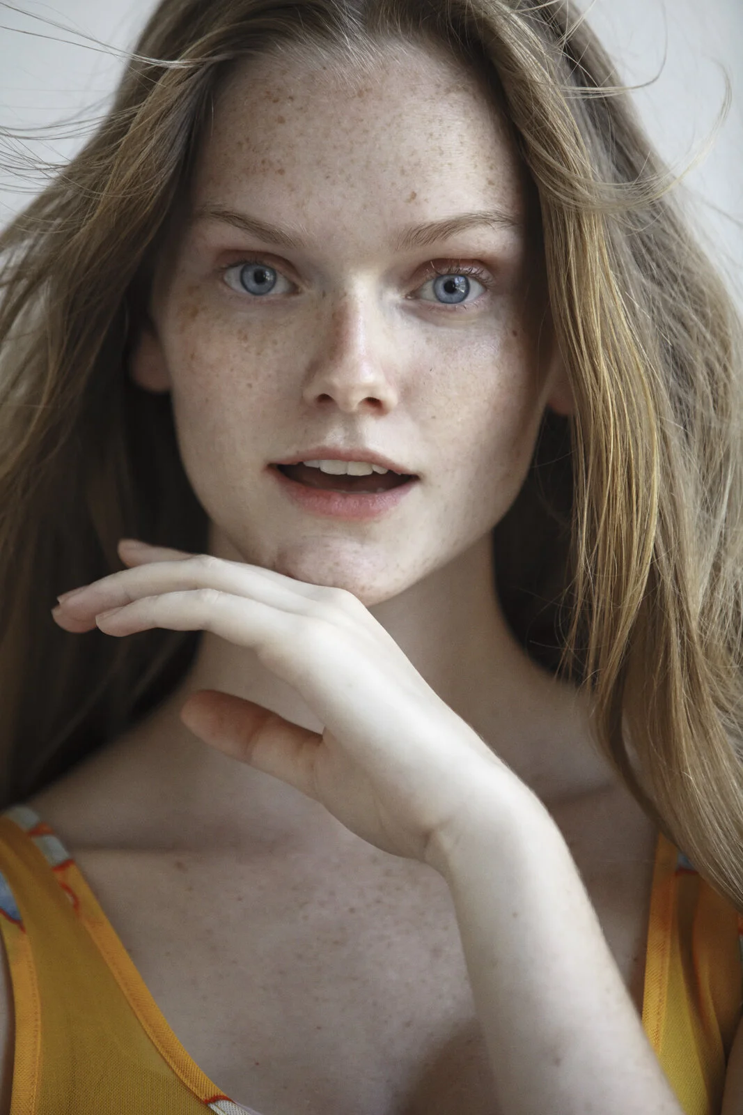 Lily5.jpg
