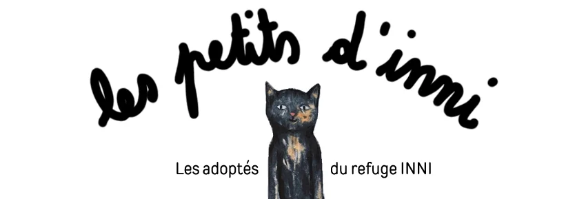 bannière adoptés.jpg