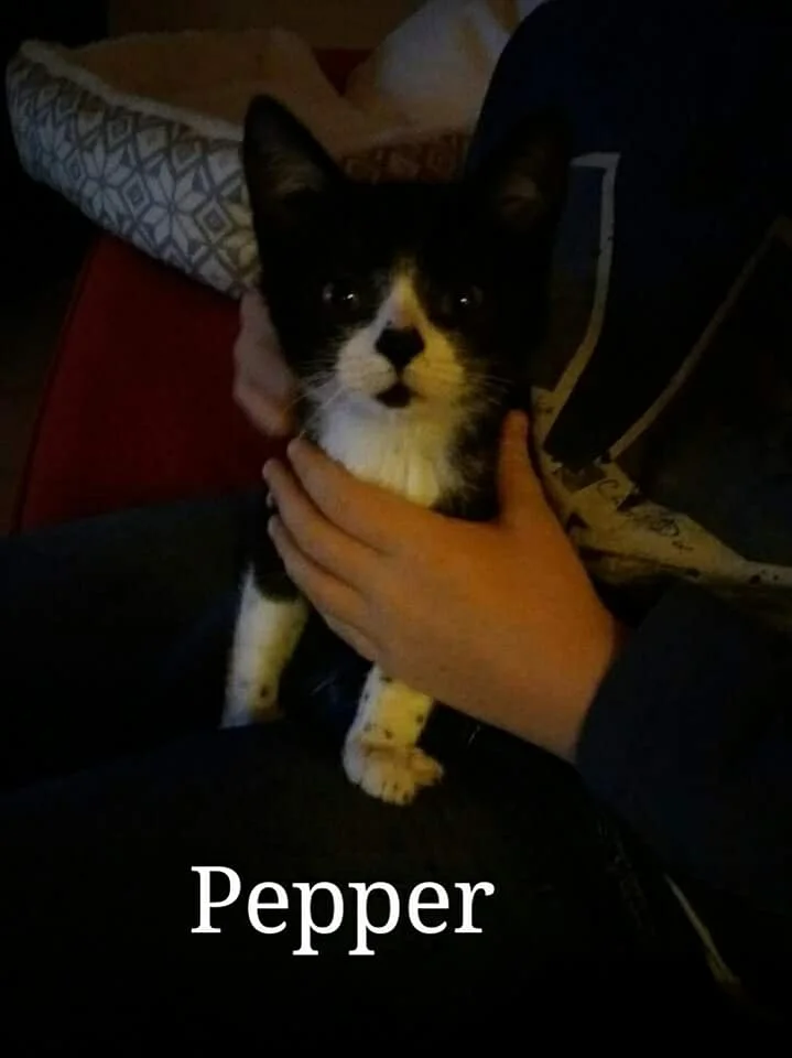 PEPPER