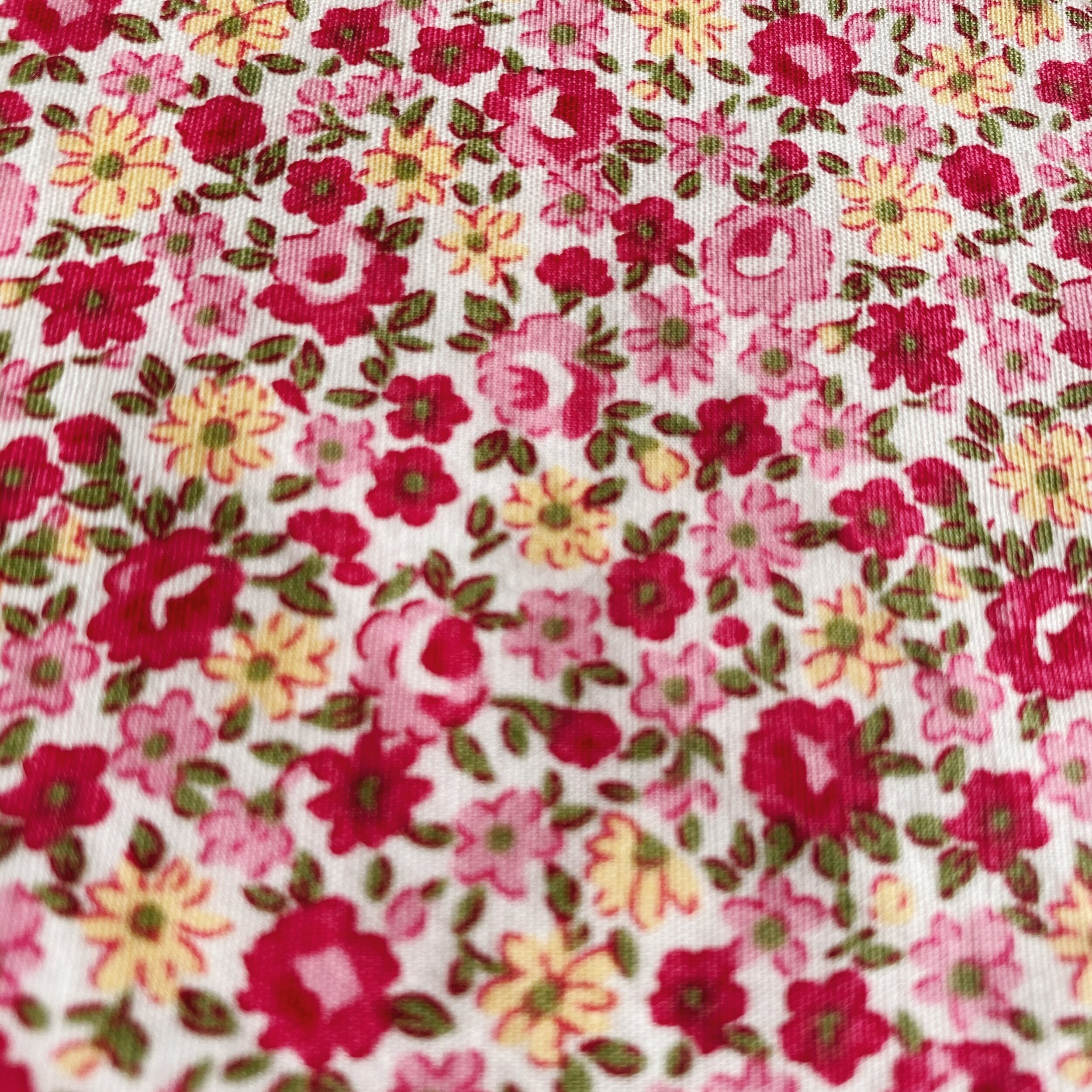 FCFD2C29-0FC3-49B1-ADD6-738D7BB95621