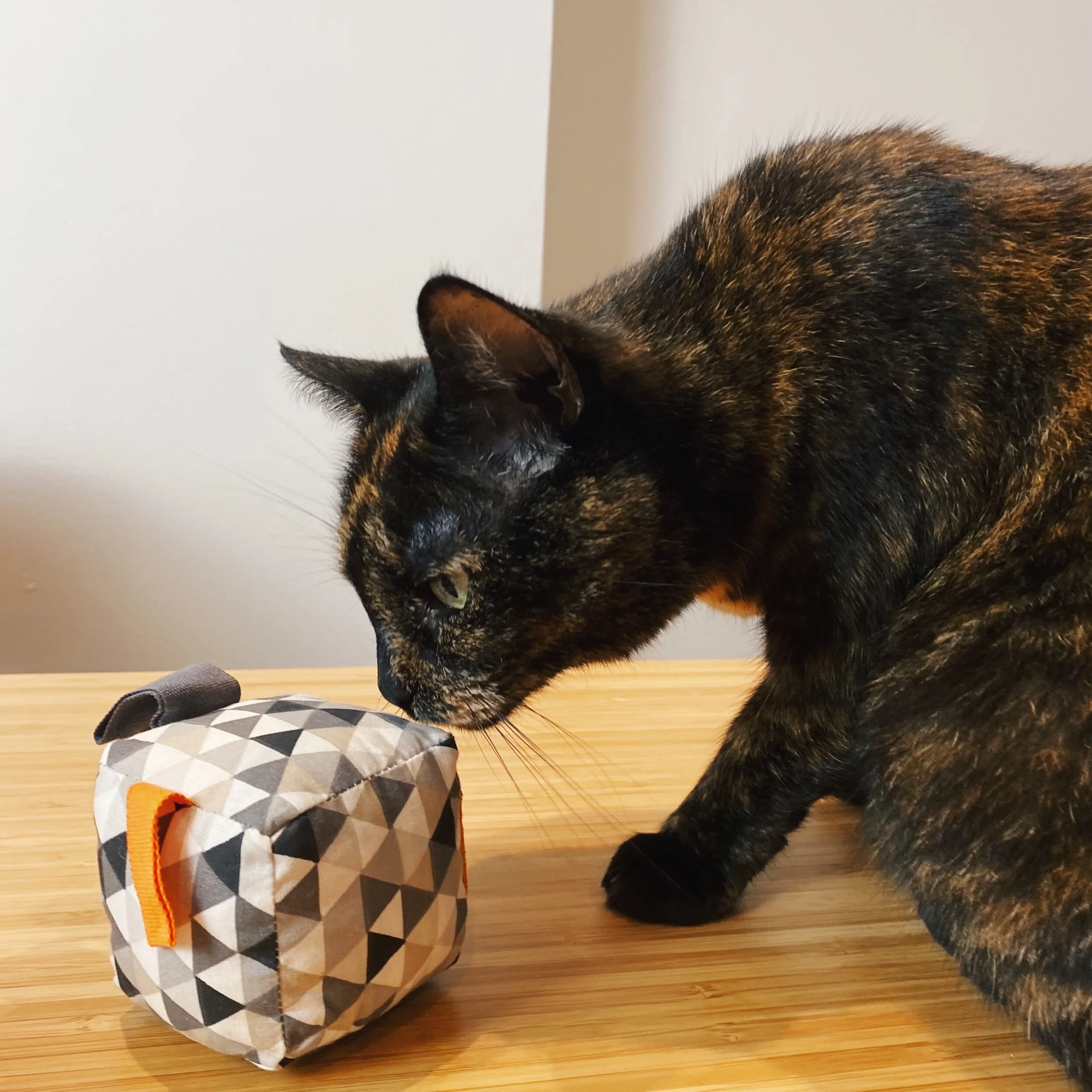 3EB9809D-8A2F-4B02-BEF1-5EF1B6C64ACD