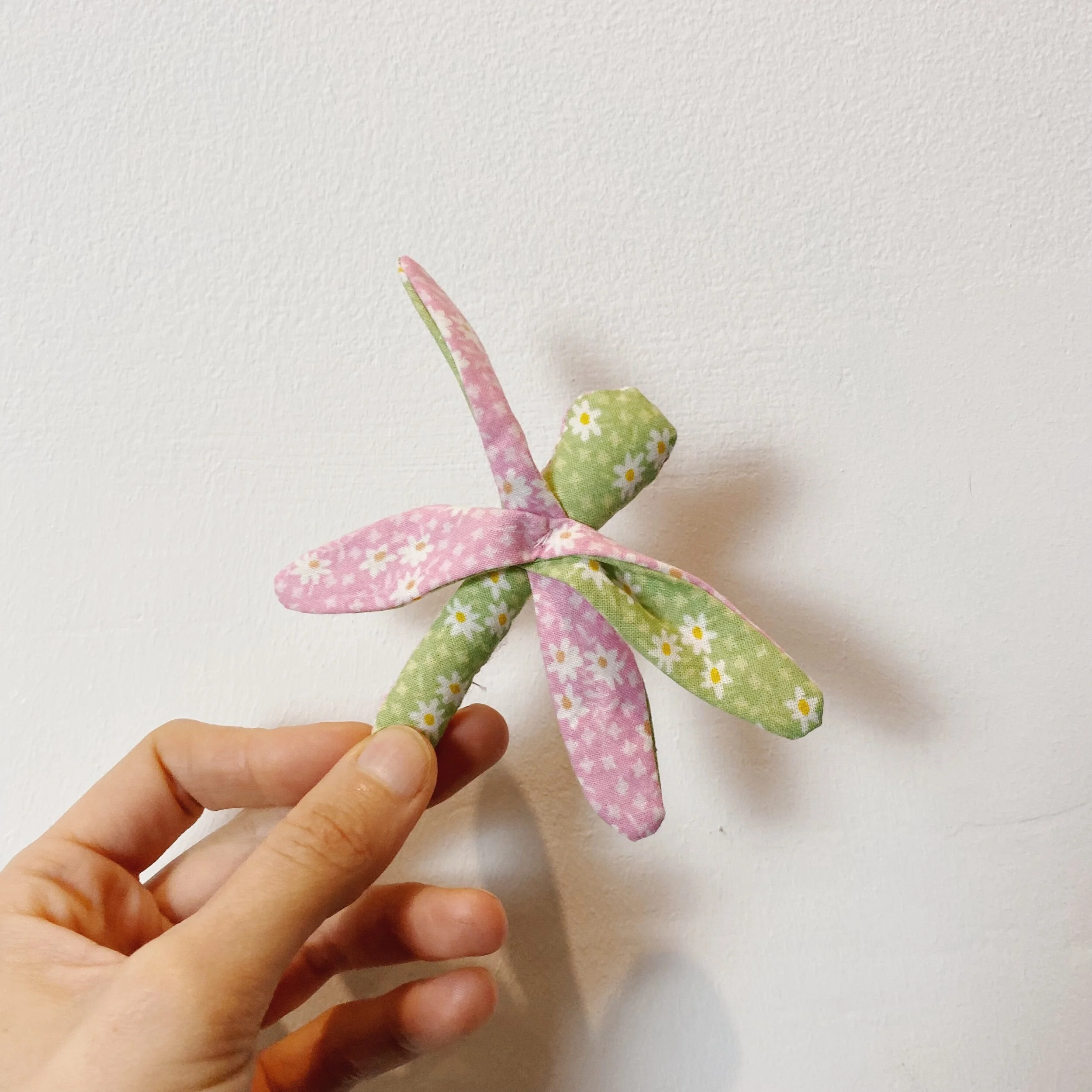 1EDD6A2D-008F-4238-9AA8-4F83915F5AD7