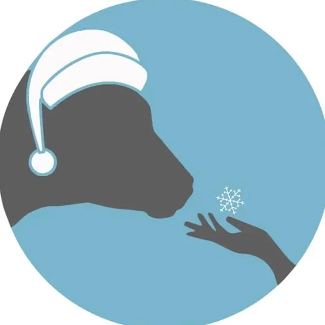 3FEDFEAD-5722-43CC-A05F-AEB662B8C925