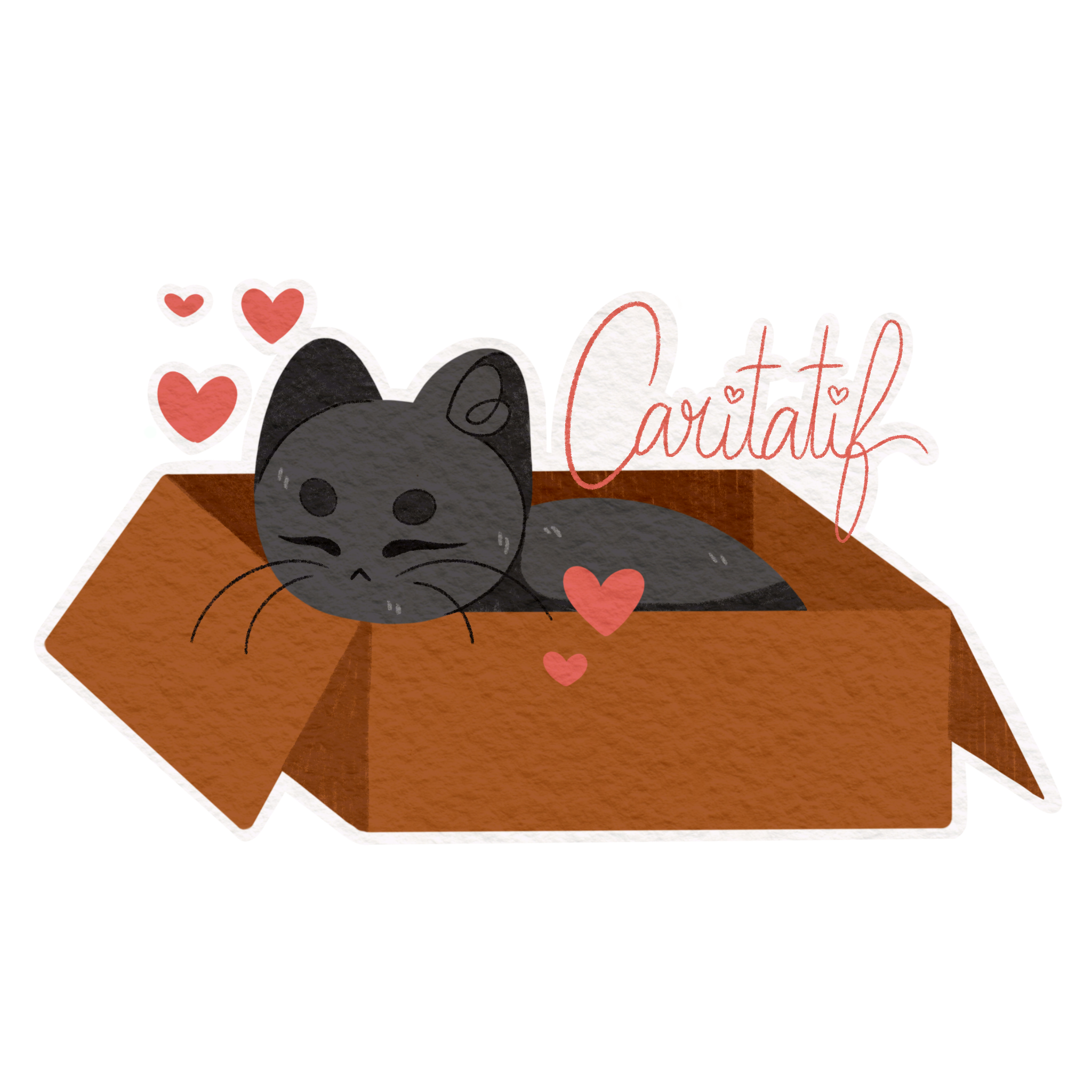 B743EA56-5B4B-4EA8-B34E-EACC1BF1F1AC