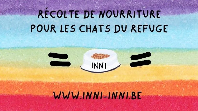 Récolte de nourriture pour les chats du refuge