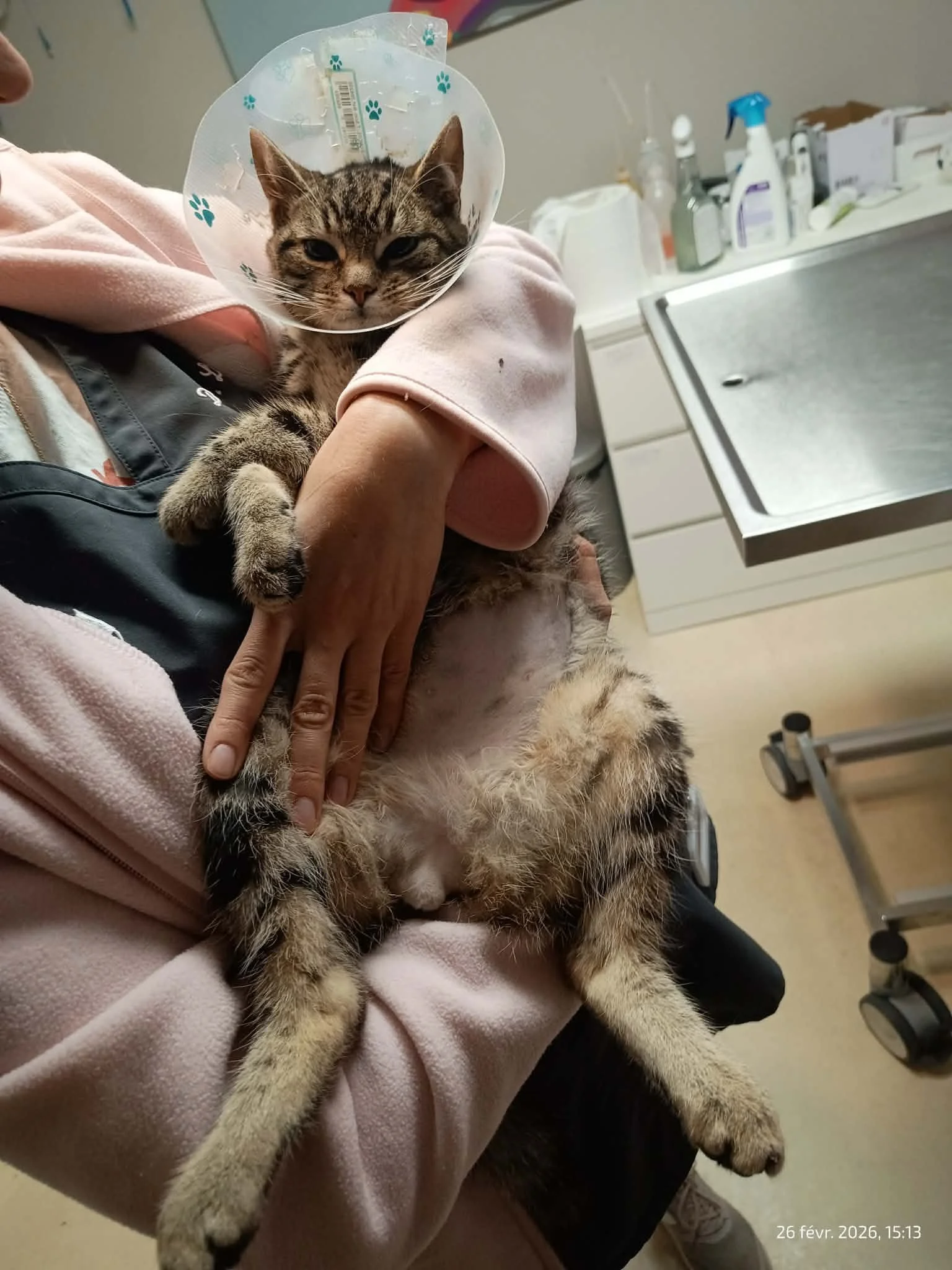 28958289-b6bd-4bc6-8aee-8a1073130f07.jfif