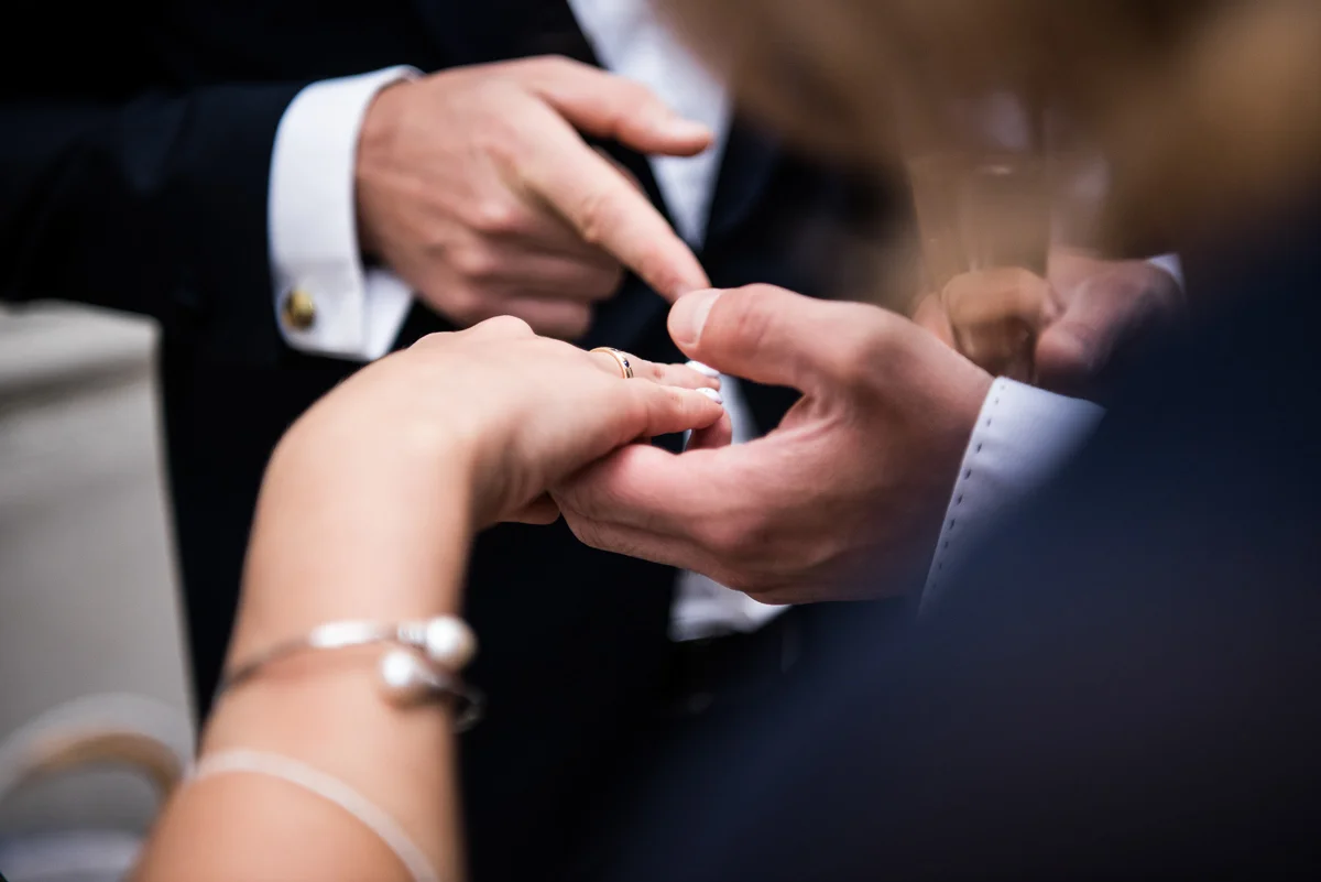 Web  (233 of 281).jpg