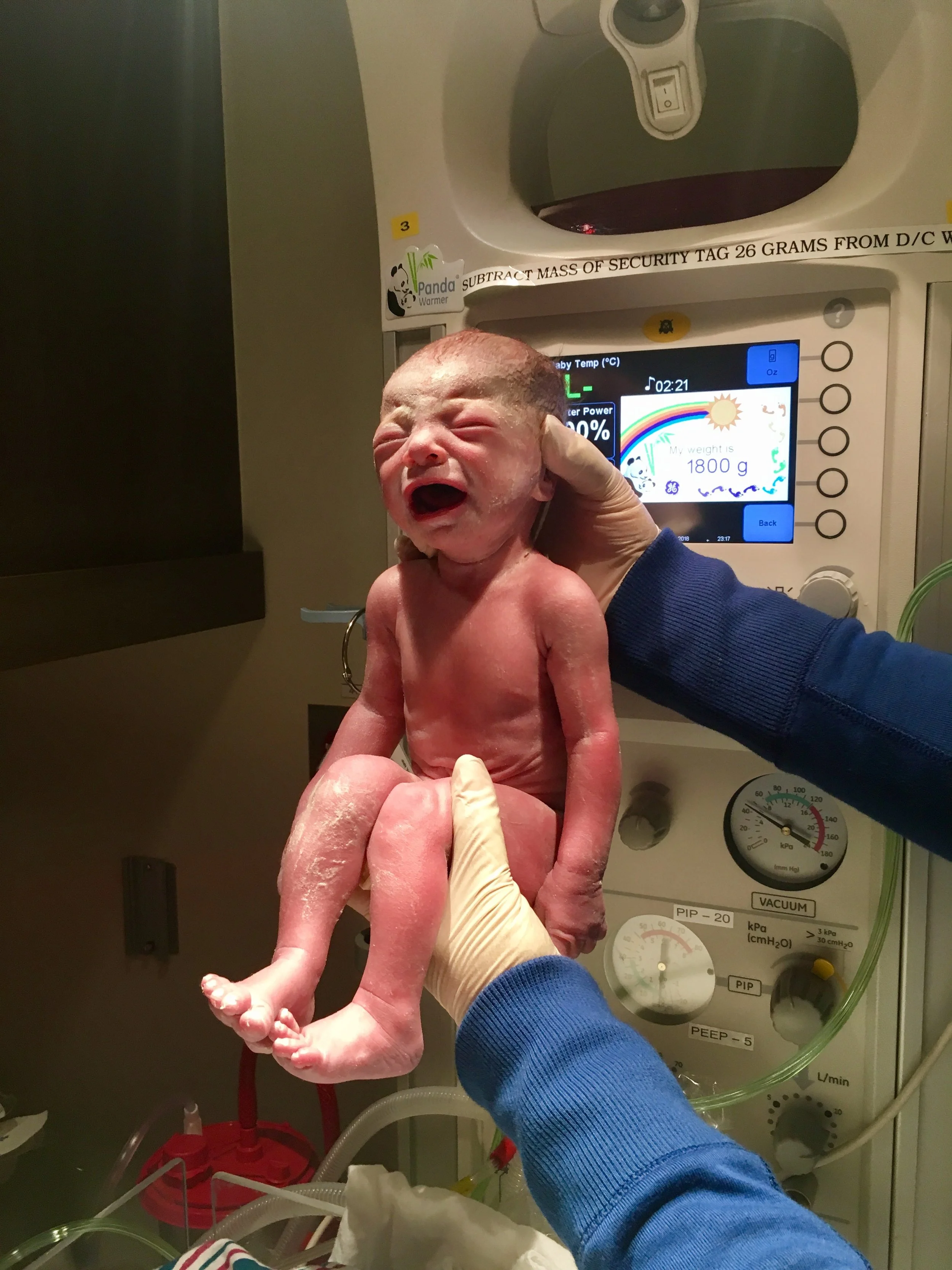 Orsi birth1.jpg