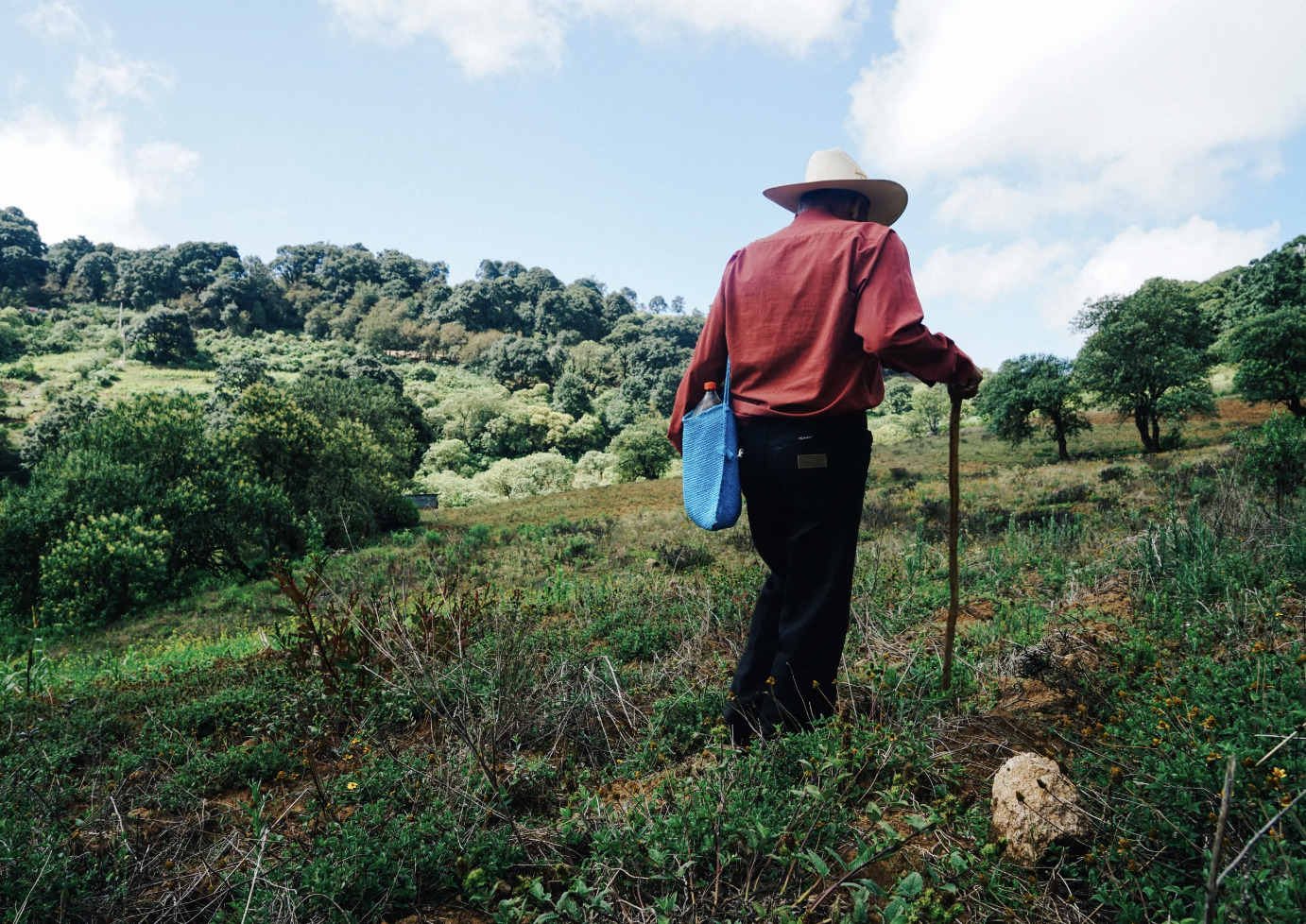 Person in a wide-brimmed hat, red shirt, black pants, walking with a stick in a lush, green hillside landscape during daytime.