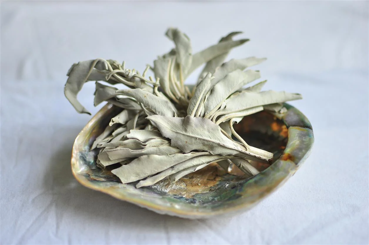 White Sage from Israel