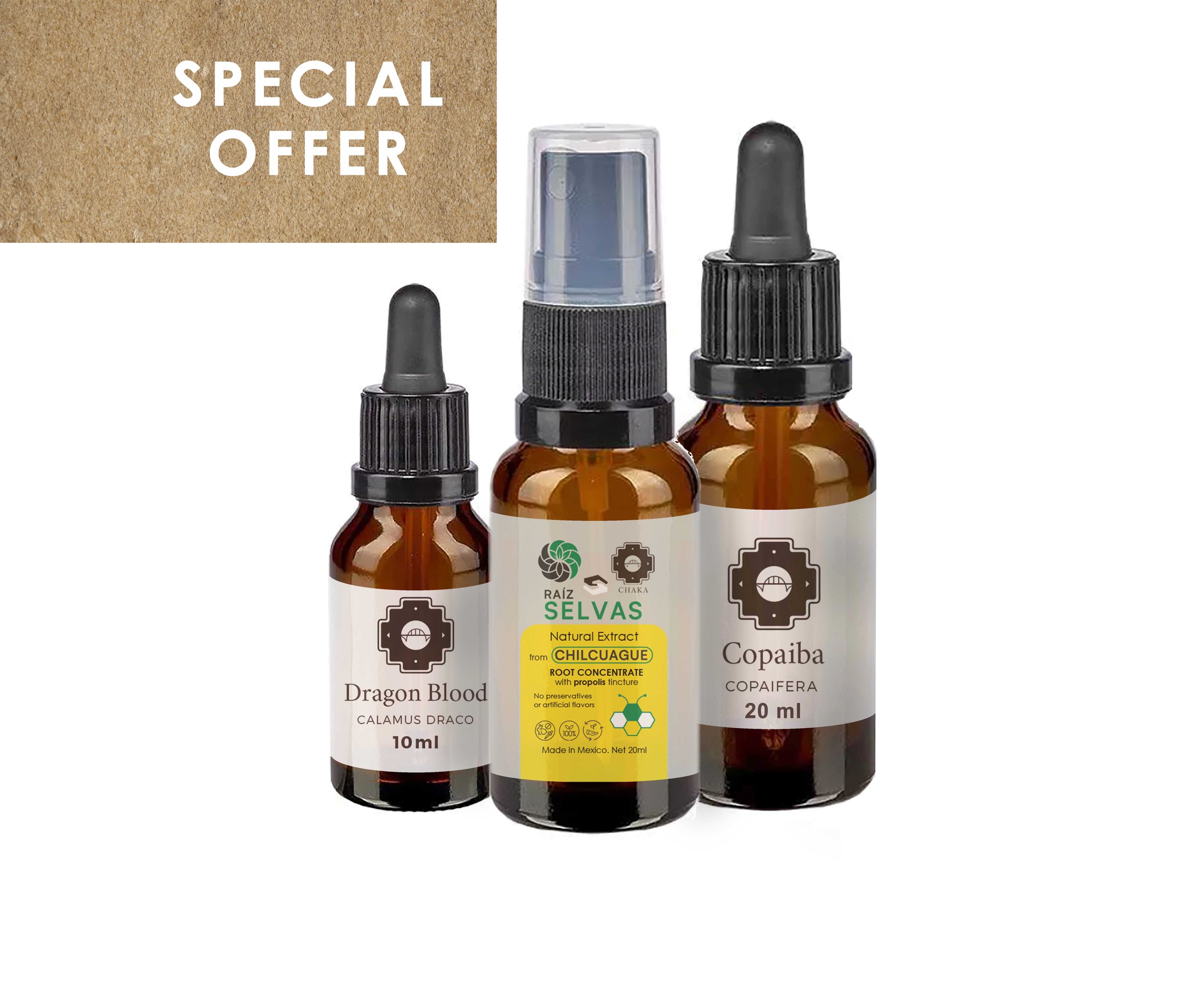 WINTER HEALTH SHIELD
