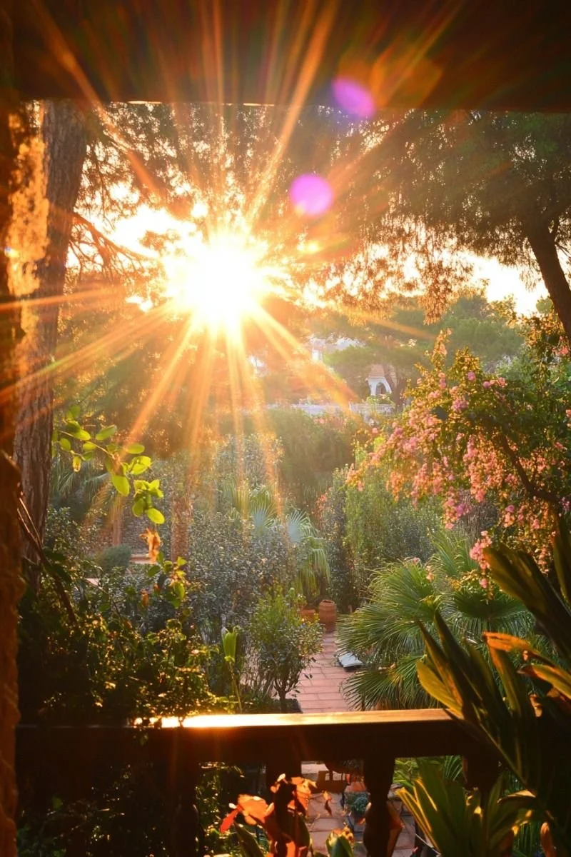 Uplifting & Refreshing