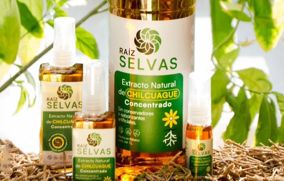 Three bottles of Raíz Selvas concentrated natural chilluague extract and a small spray bottle, placed on a bed of twigs with green leaves in the background.