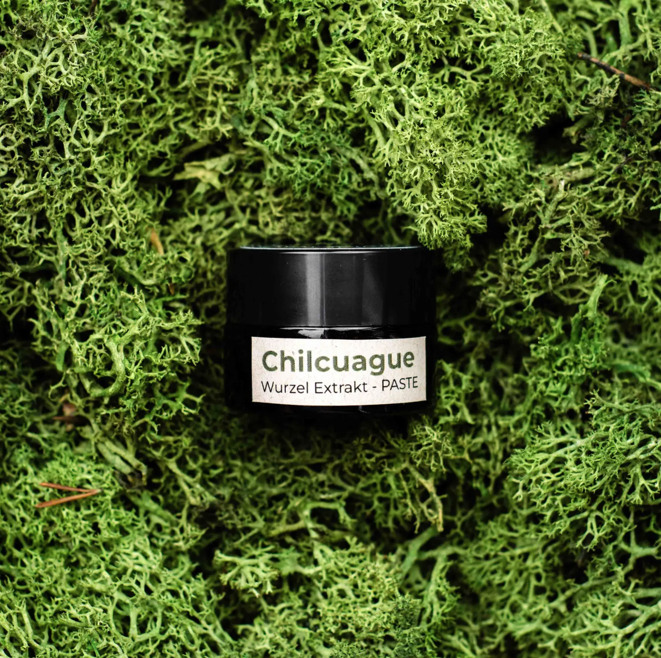 Screenshot 2026-01-03 at 17.59.00.png