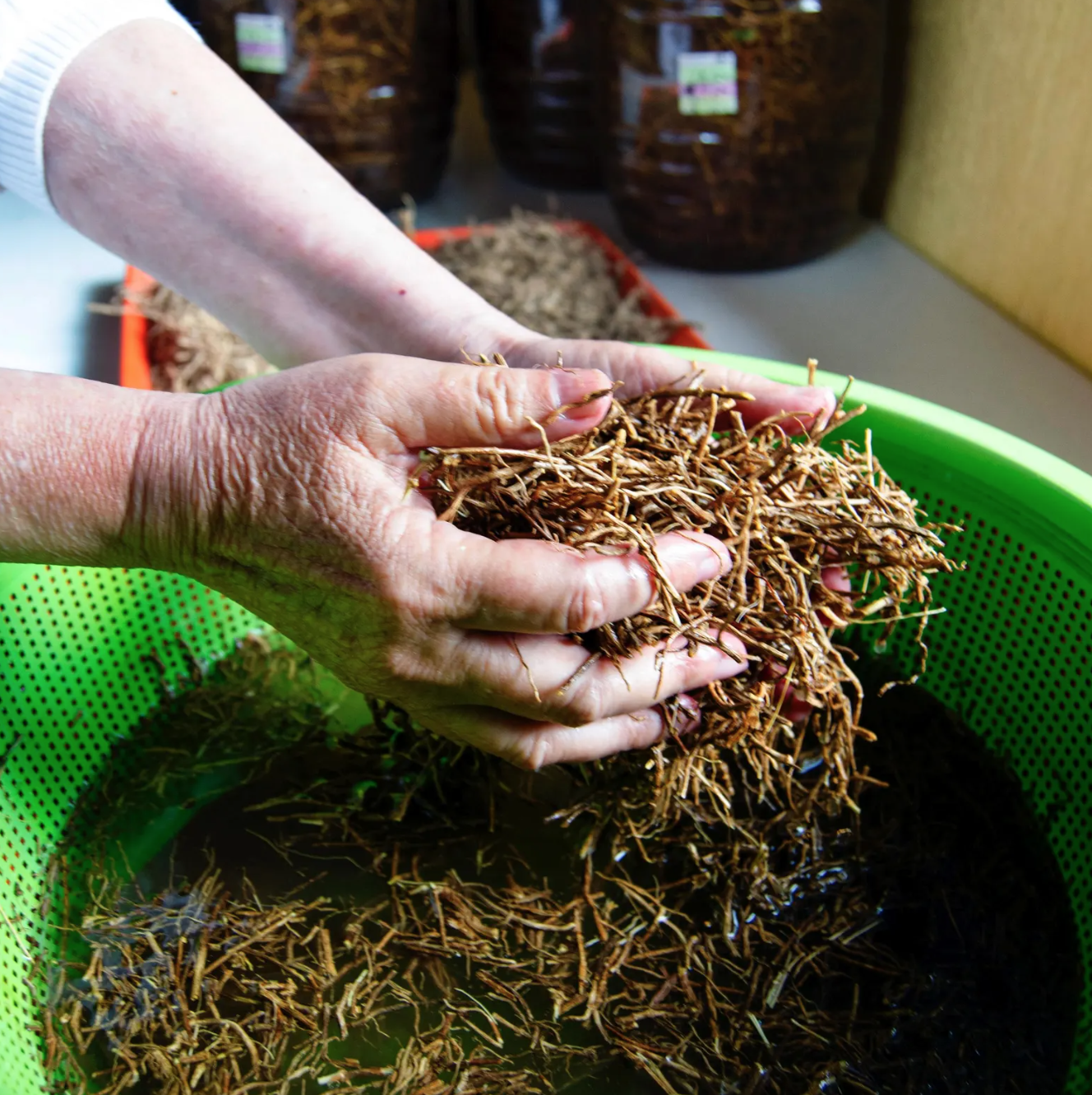 Screenshot 2026-01-03 at 17.59.08.png