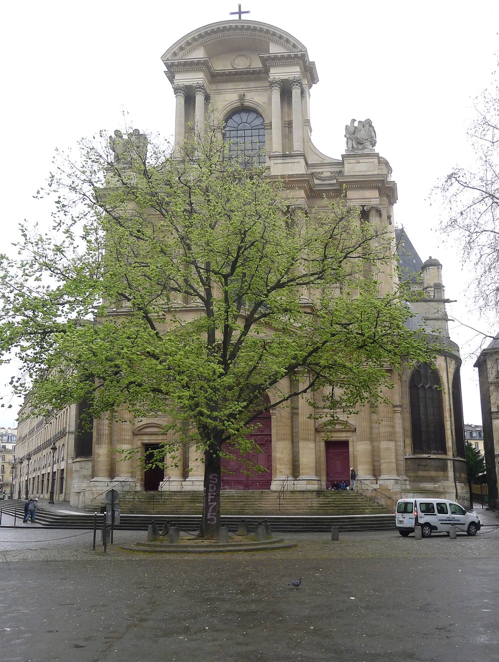 Elm Tree, Place Saint-Gervais