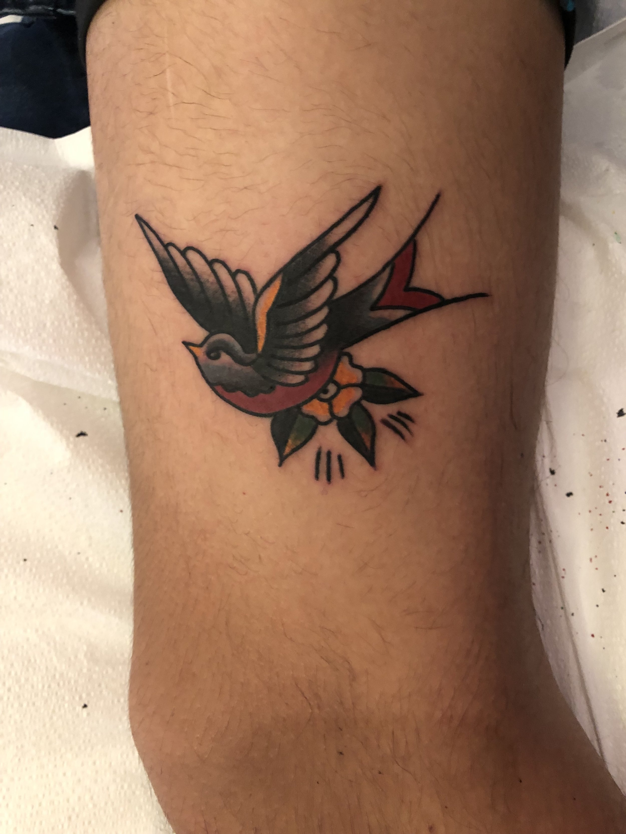 Graceland Tattoo Kiosk : Tattoos : Color : Traditional Swallow Tattoo