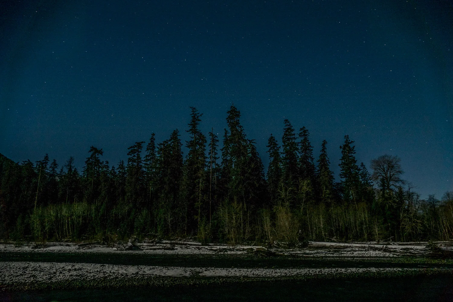 The Hoh Rainforest and River - 1am