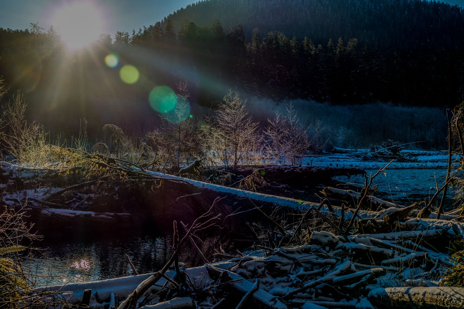 _1220151.jpg