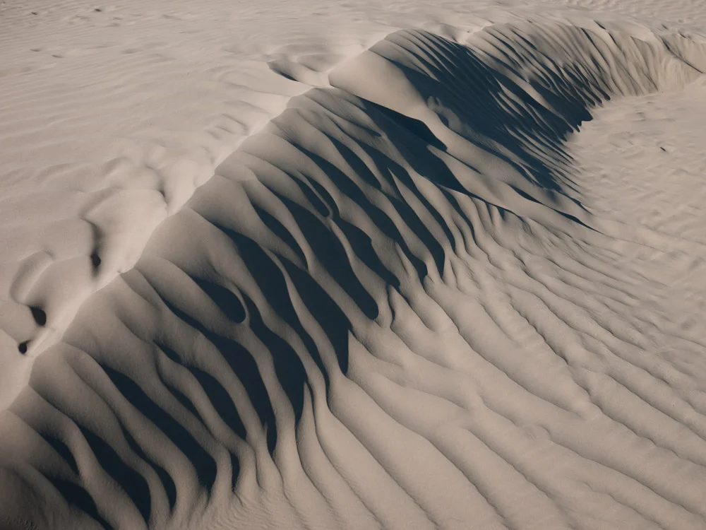 dune.jpg