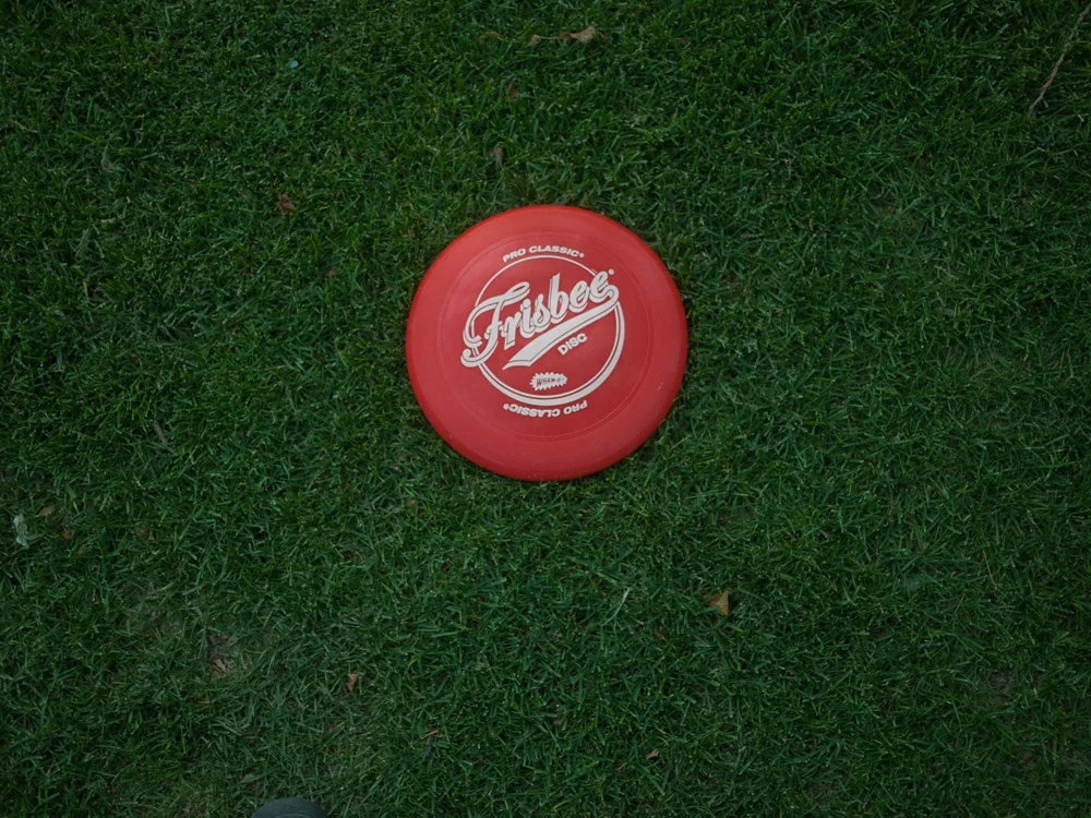 frisbee.jpg