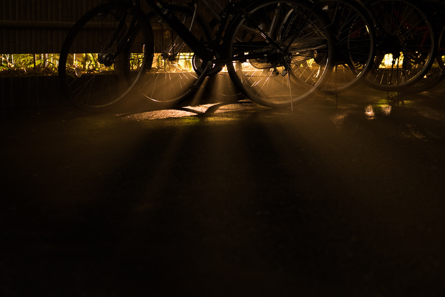 bike-rays.jpg