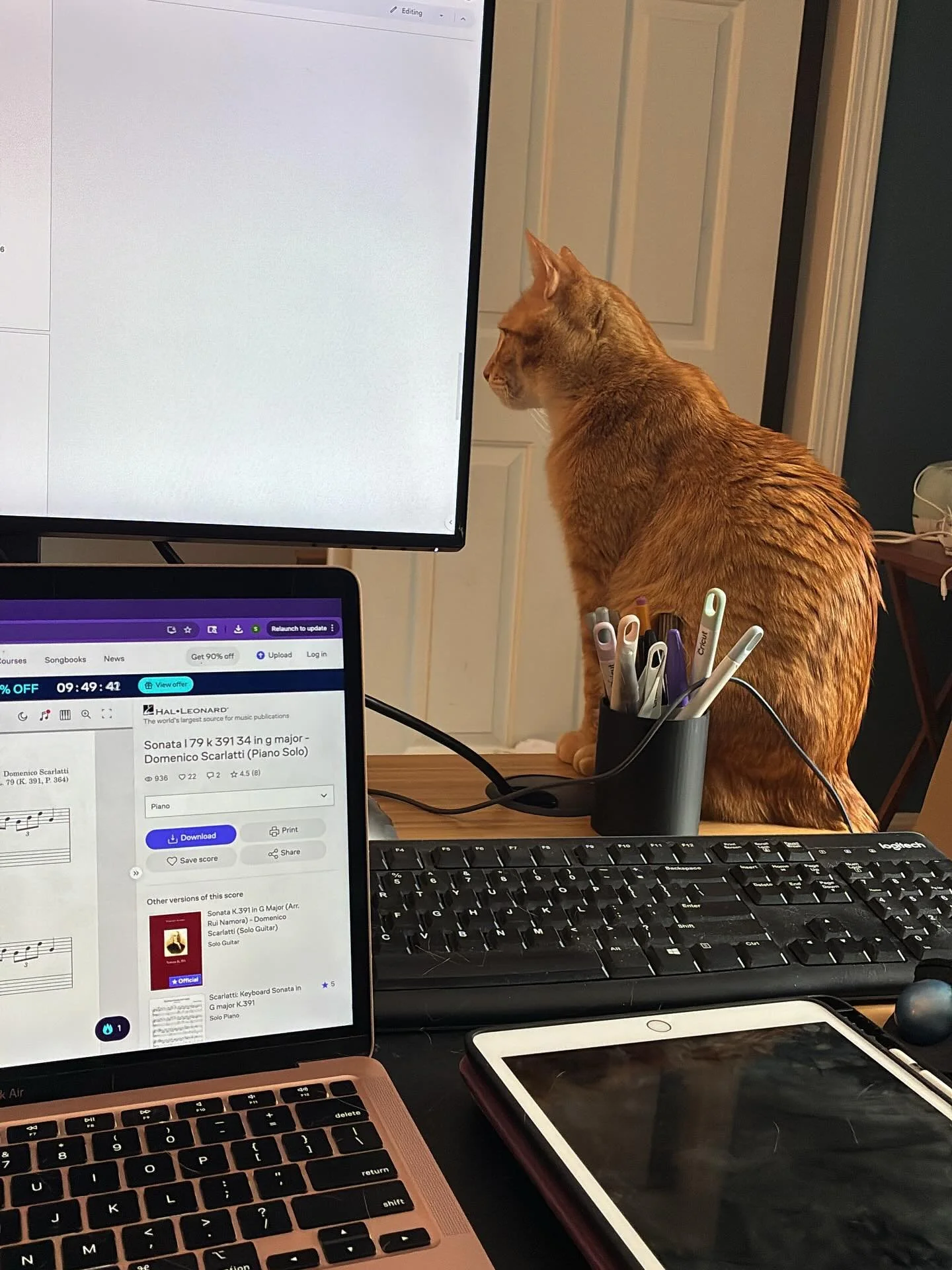 These were all in the span of about 10 minutes. 😆 Always is my office buddy, keeping me company while I sort new music and prep for lessons. ❤️🎶 #MarsTheCat