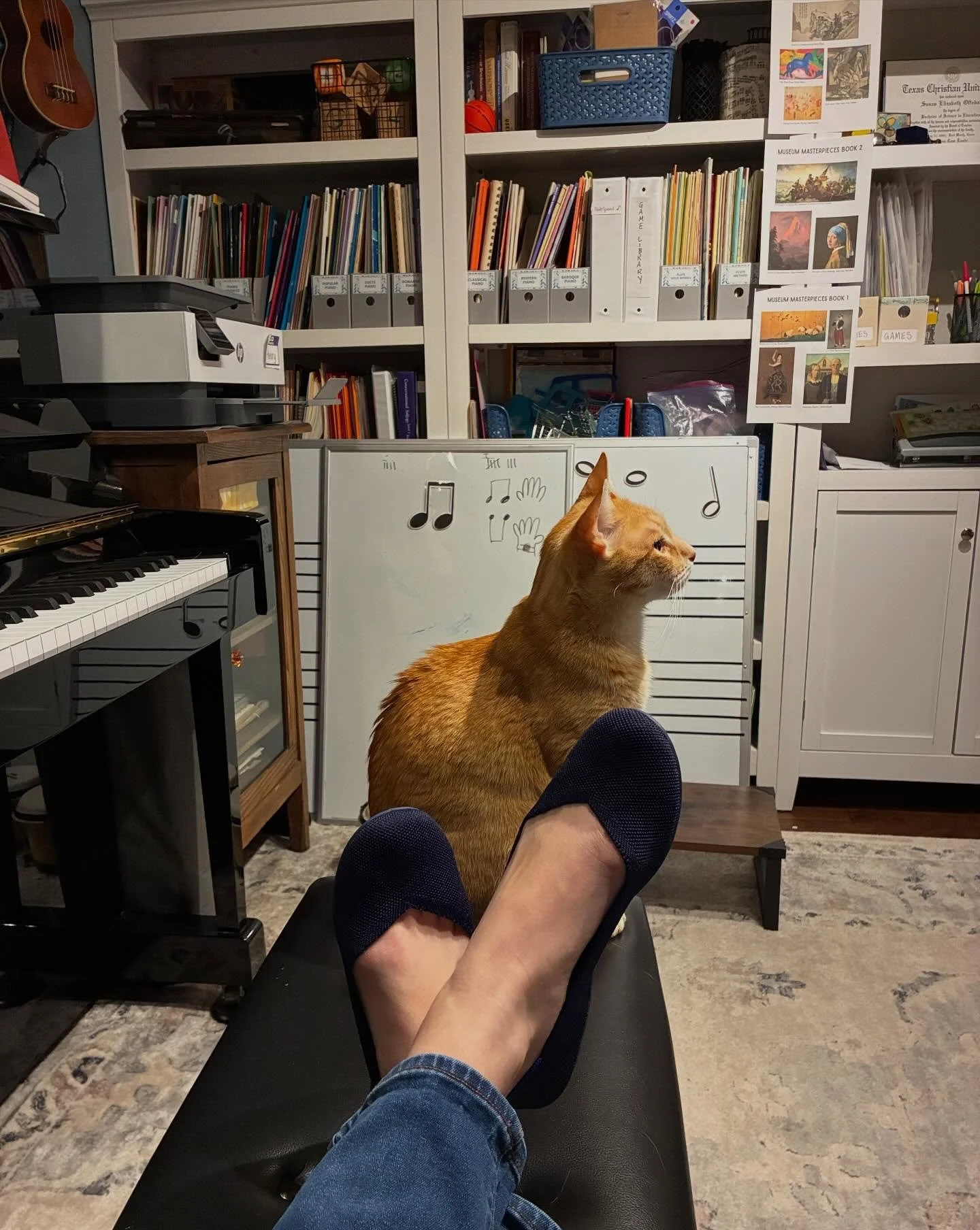 Let&rsquo;s try to work on some music games while Mars looks regal in the spotlight. #musicteacher #studiocats