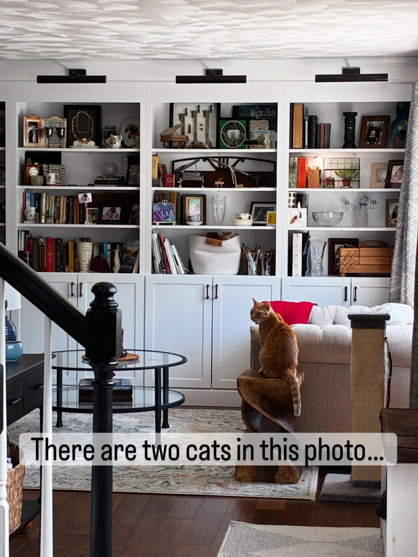 As seen from the music room this morning. 🤣 Can you find both cats?