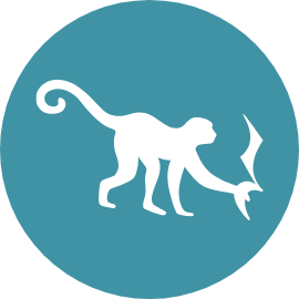 Teal circle with monkey holding quarter rest
