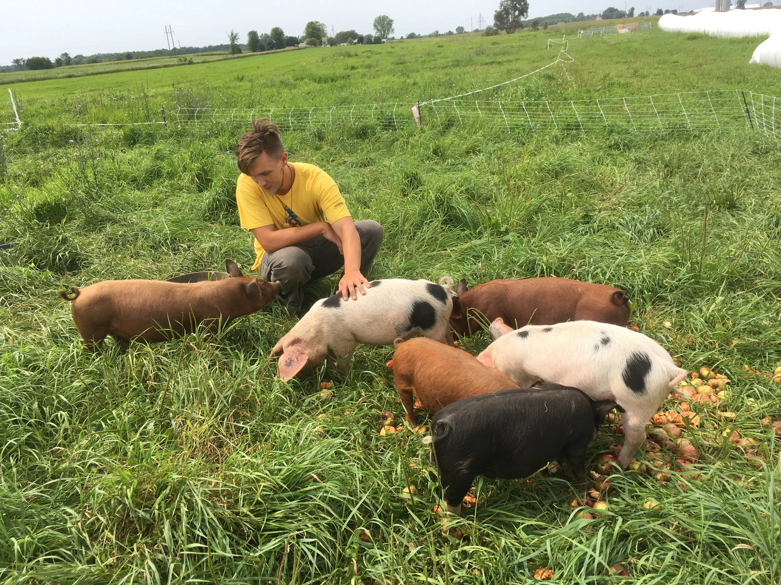 Edible Door Article -  Taking a Closer Look Under the Soil - Full Circle Community Farm Eyes Sustainability