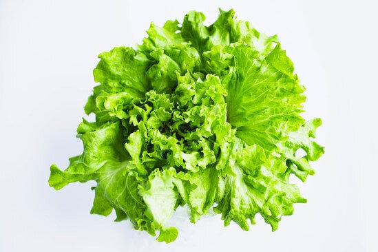lettuce-summerCrisp.jpg