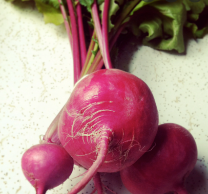 redturnip.PNG