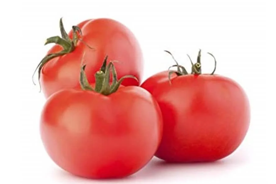 tomato-slicer (1).jpg