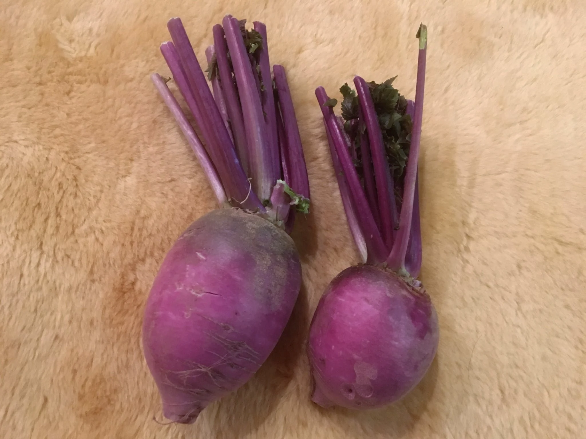 Radish - Purple Daikon.jpg