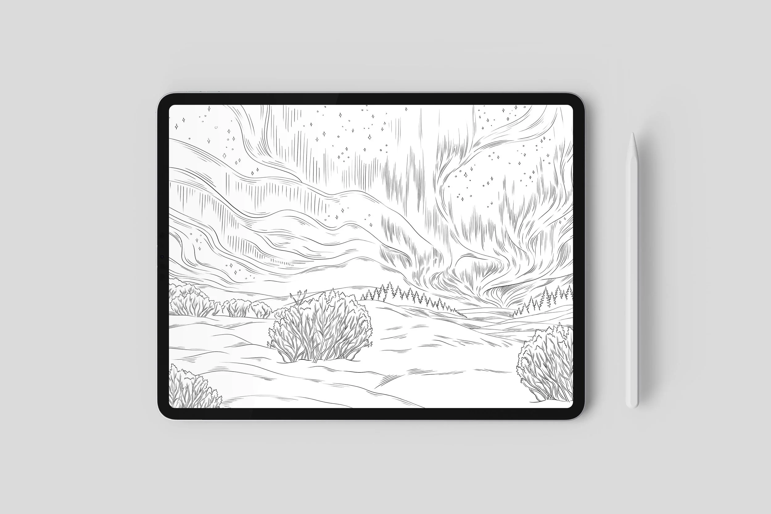 Ipad Pro - PSD 05 (1).jpg