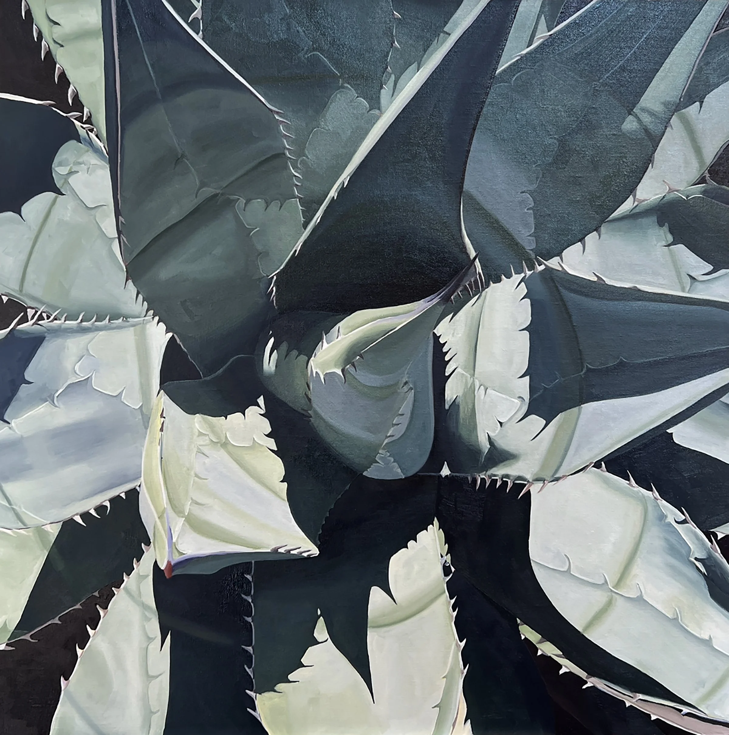 "Desert Flora Portraits" Solo Show at 29 Palms Art Gallery