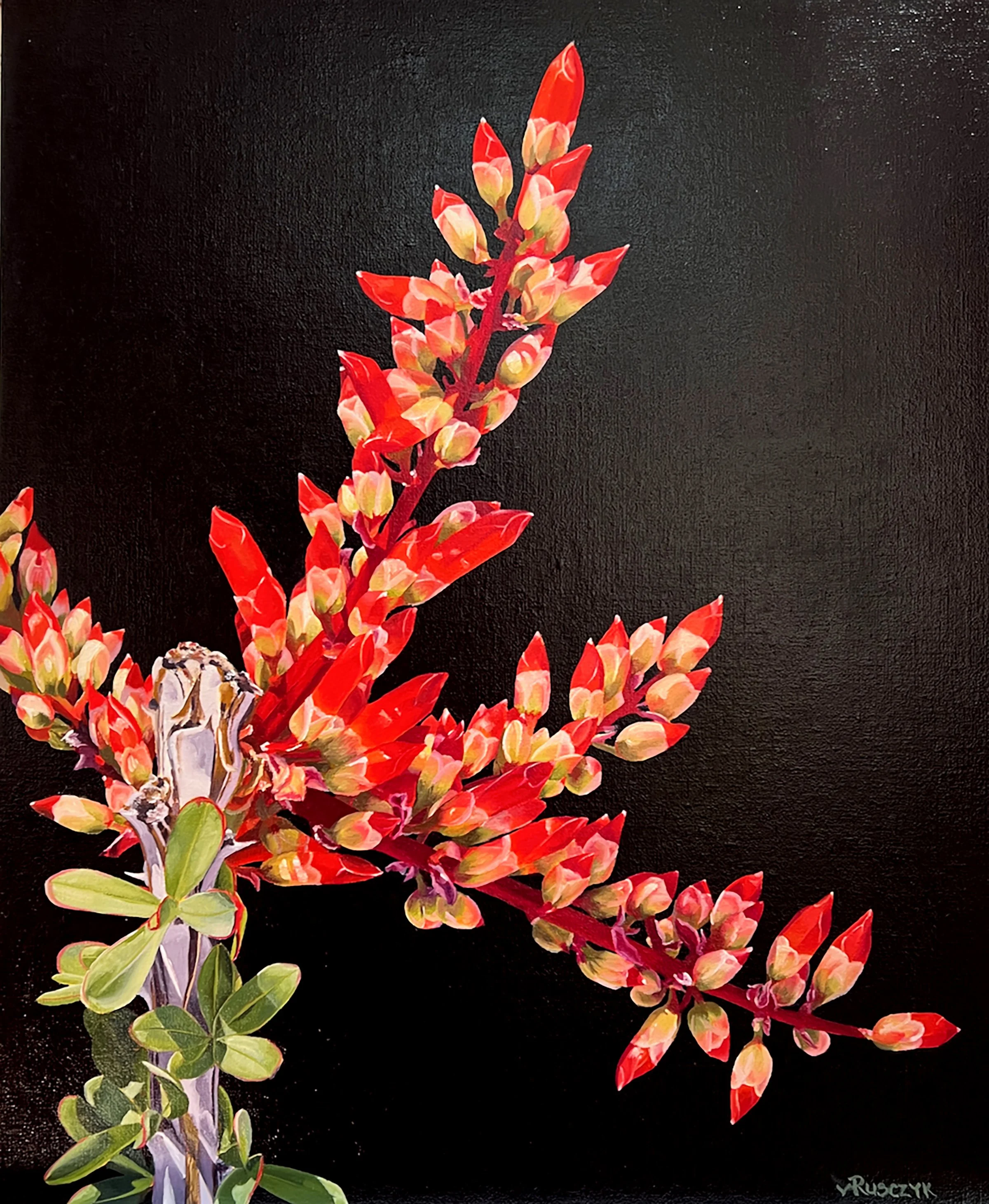 Women Artists of the West National Exhibition