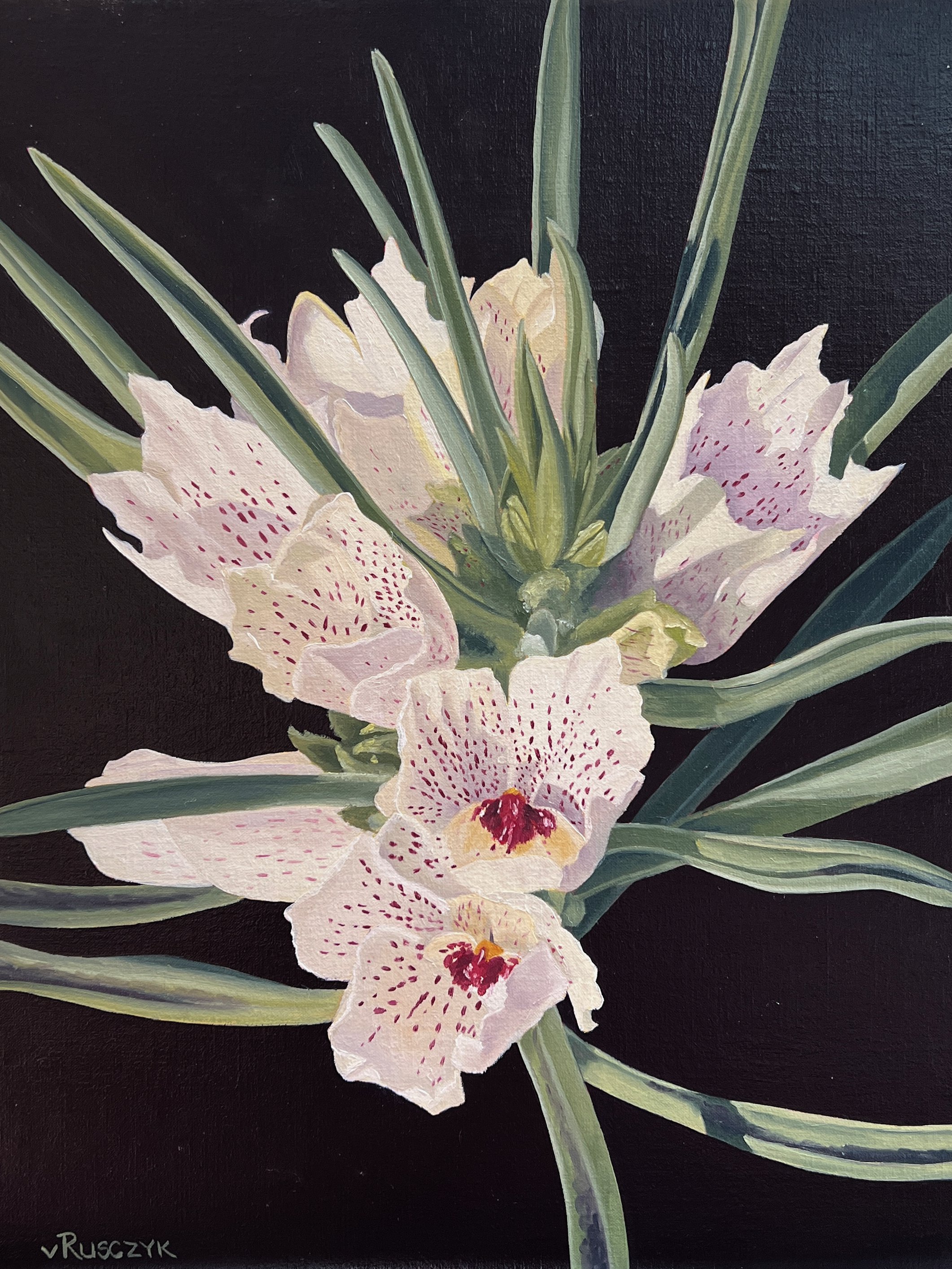 Women Artists of the West 54th National Exhibition