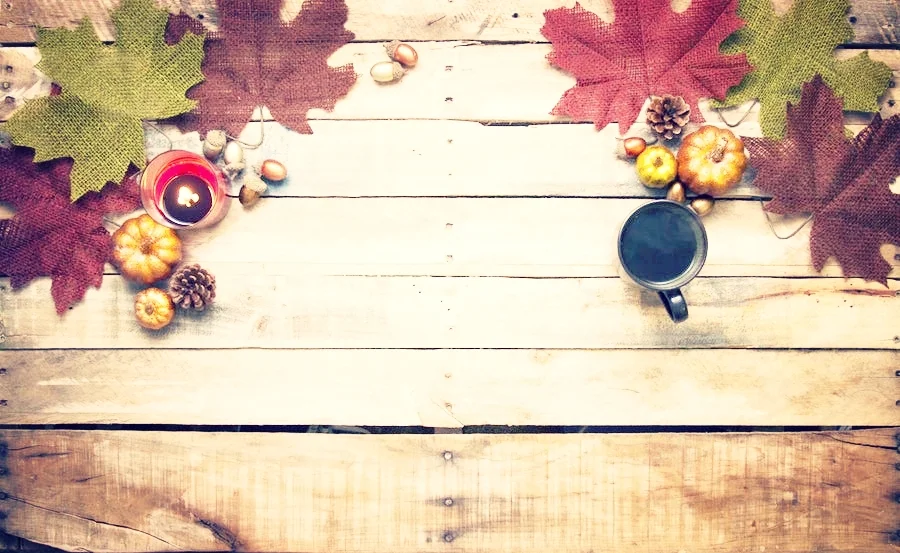Happy Thanksgiving!