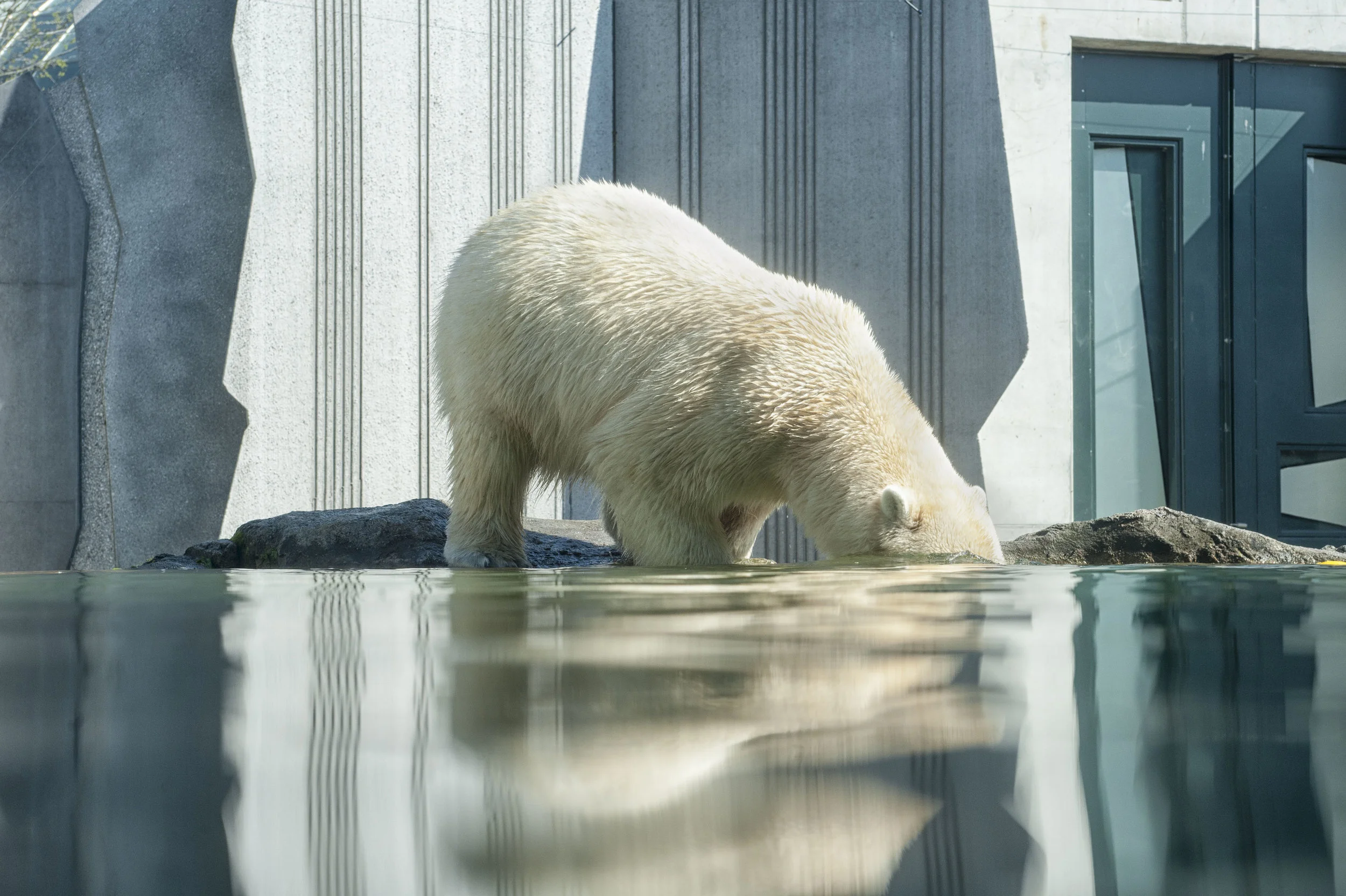 On the Environment & Climate Change
