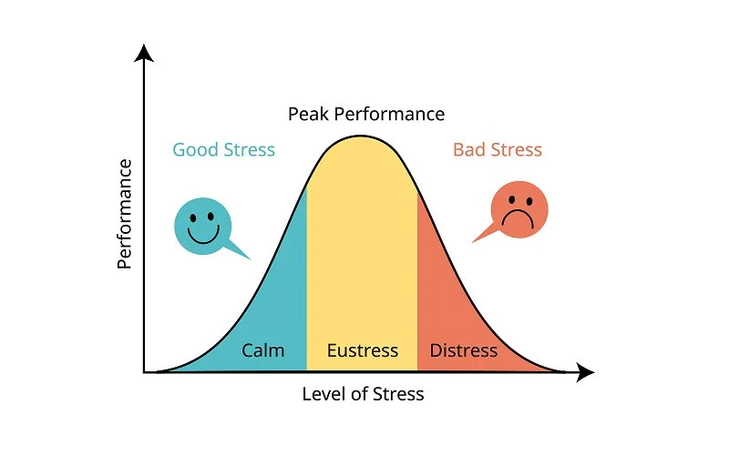 Infographic chart explaining performance levels during eustress and distress.