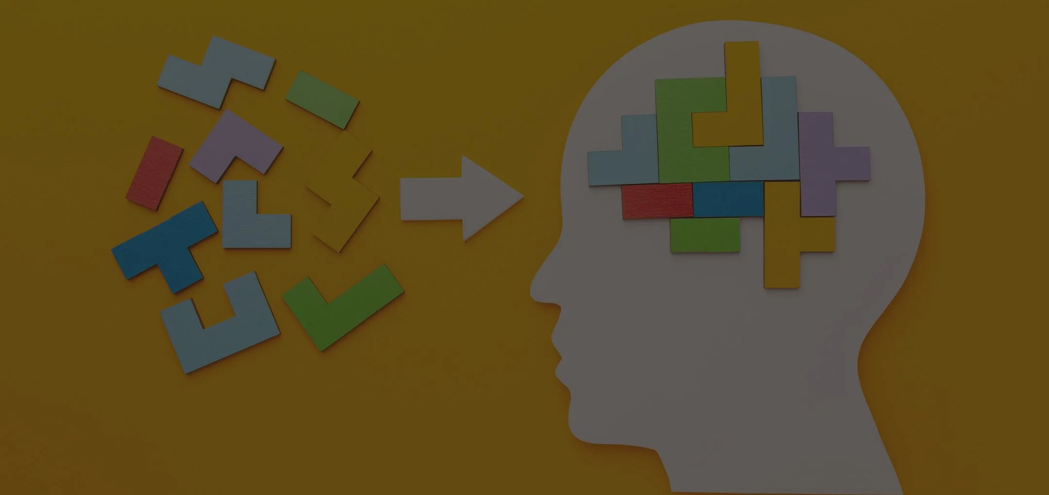 IQ-BANNER-01.jpg