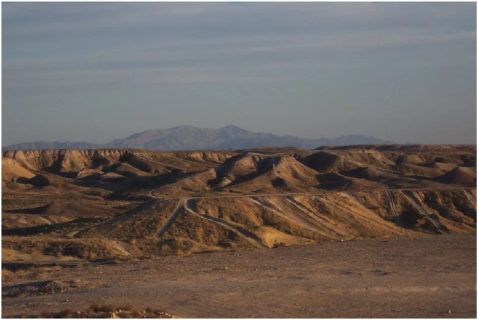 Nellis photo.jpg