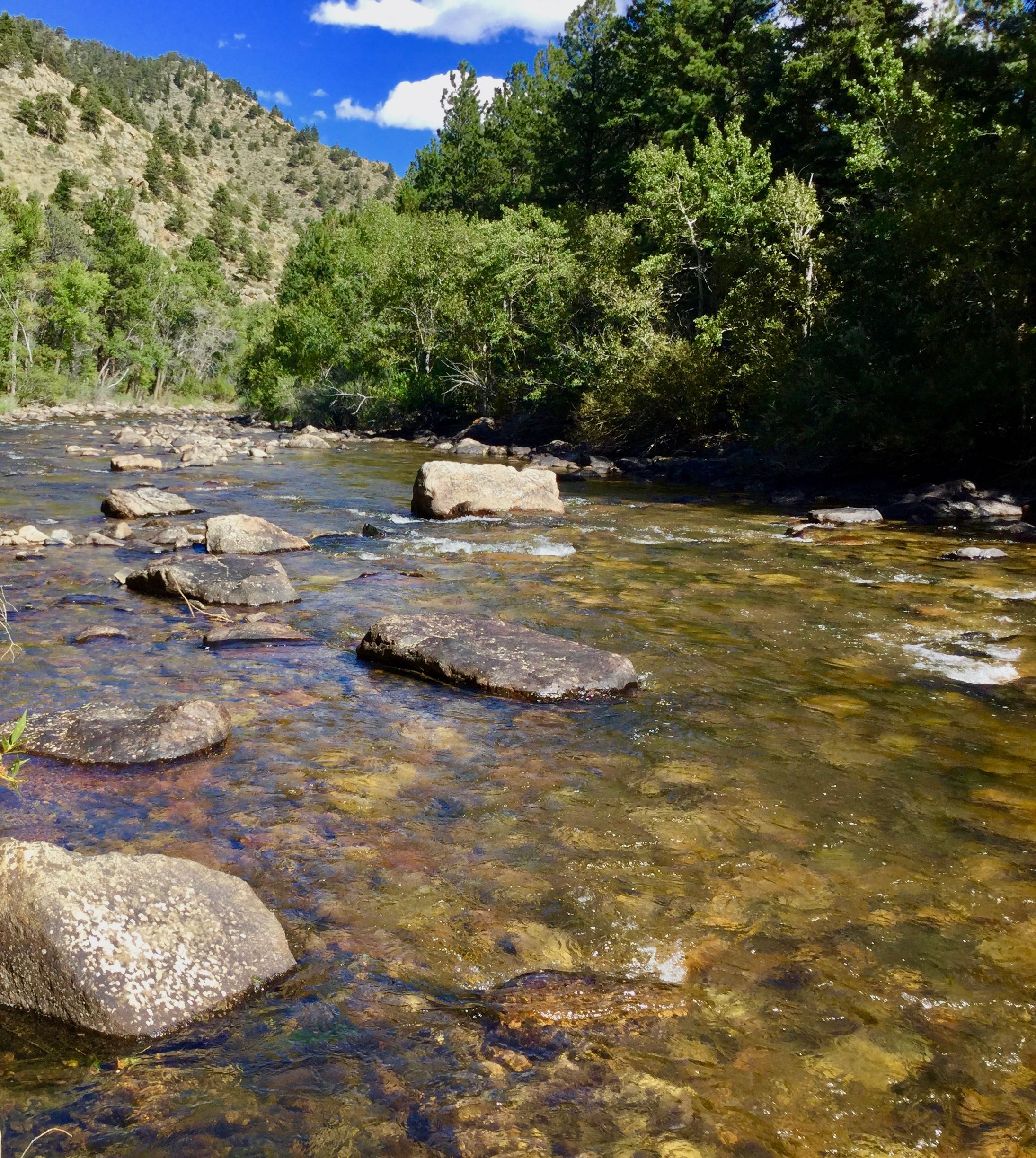 Upper Poudre River